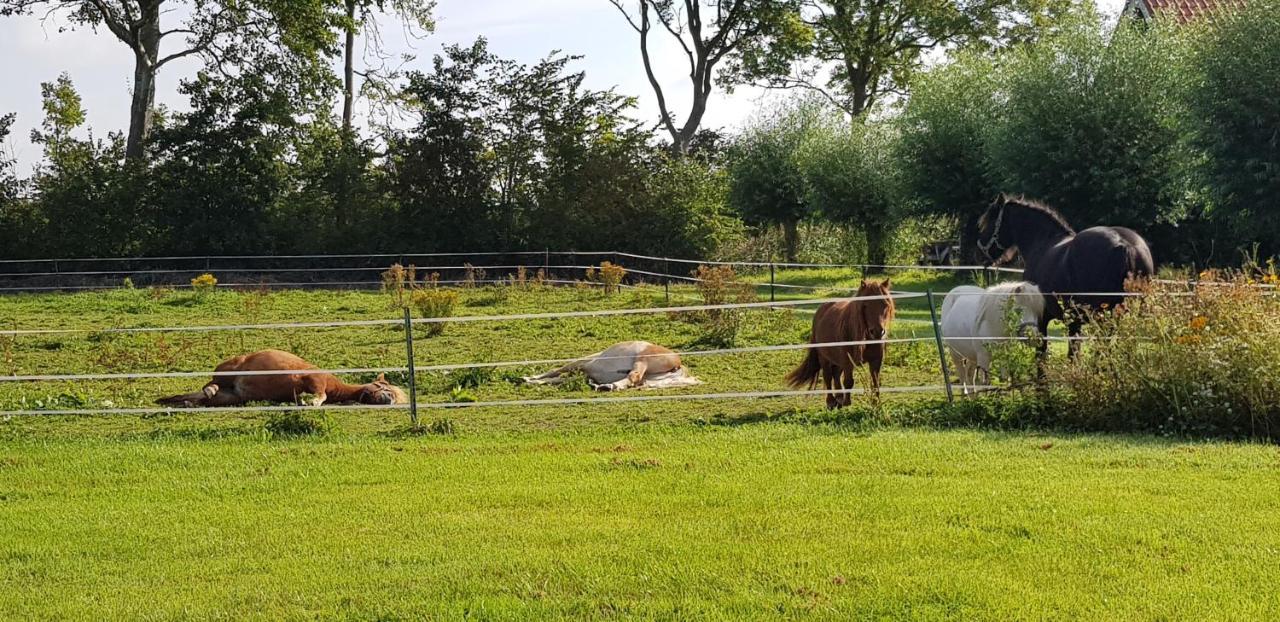 Hoeve Ruimzicht *